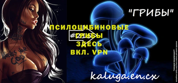 стафф Алексеевка