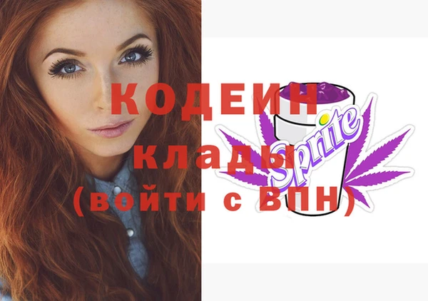 apvp Осташков