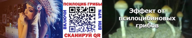 Псилоцибиновые грибы прущие грибы  где можно купить наркотик  Фёдоровский 